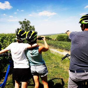 Day tour